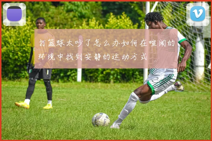 打篮球太吵了怎么办如何在喧闹的环境中找到安静的运动方式