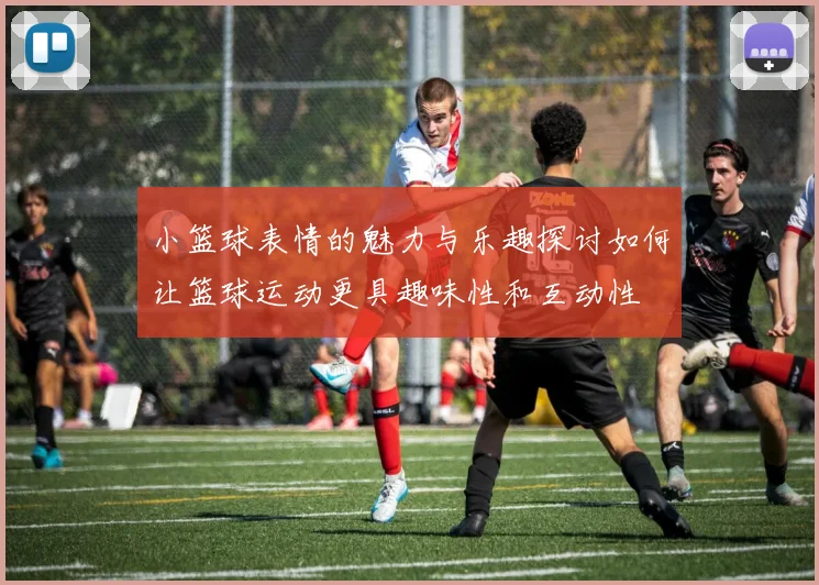 小篮球表情的魅力与乐趣探讨如何让篮球运动更具趣味性和互动性