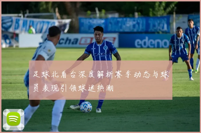足球北看台深度解析赛季动态与球员表现引领球迷热潮